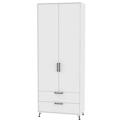 Шкаф двустворчатый Лофт H55, Белый в Копейске - изображение