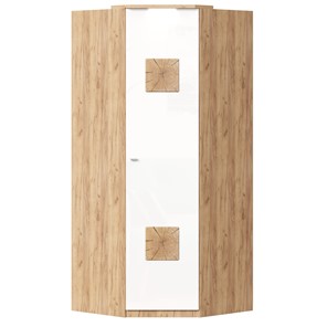 Шкаф угловой 45 с декоративной накладкой Фиджи, 659.248, белый в Челябинске - предосмотр