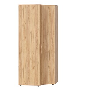 Распашной шкаф с гнутой дверью Марта-2 Дуб золотой/Дуб Тортуга ЛД 406.050 в Копейске