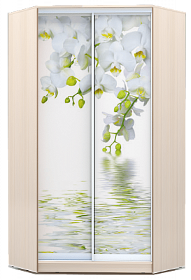 Угловой шкаф 2300х1103, ХИТ У-23-4-77-05, Белая орхидея, дуб млечный в Челябинске - изображение