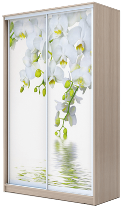 Шкаф 2-х створчатый 2400х1682х620, Белая Орхидея ХИТ 24-17-77-05 Ясень Шимо Светлый в Челябинске - изображение