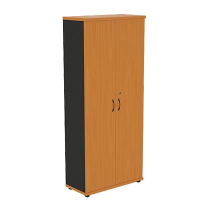 Шкаф 2-дверный Моно-Люкс R5S05 в Магнитогорске - изображение