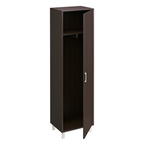 Шкаф для одежды Борн, венге, универсальный L и R дверь без замка (48х45х207,4) 703-880-881 в Челябинске