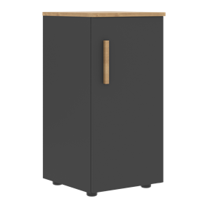 Низкий шкаф колонна с глухой дверью правой FORTA Графит-Дуб Гамильтон  FLC 40.1 (R) (399х404х801) в Копейске - предосмотр