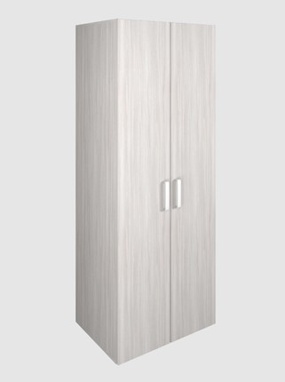 Шкаф для одежды 2-дверный арт.119.1, ЛДСП Ясень шимо светлый в Челябинске - изображение