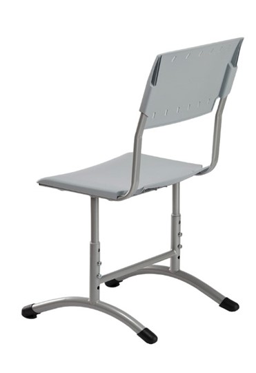 Детский стул регулируемый Отличник.3 3-5, Серый RAL 7040/Светло-серый в Челябинске - изображение 1
