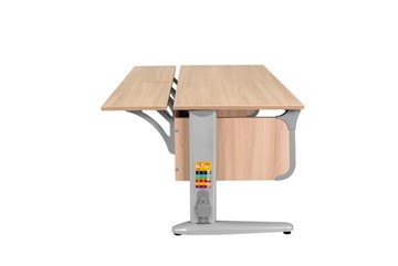 Детский стол-трансформер 6/120 (СУТ.49) + Polka_z 6/600 (2 шт) Ясень/серый/серый в Миассе