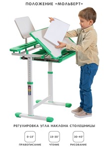 Растущая парта и растущий стул SET HOLTO-17А, зеленый в Магнитогорске - предосмотр 2