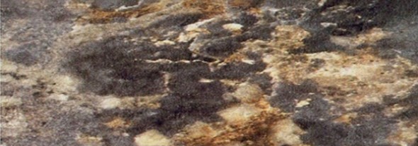 Кухонная столешница 100*60 см Королевский опал темный в Магнитогорске - изображение